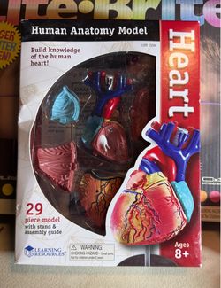 Heart Model