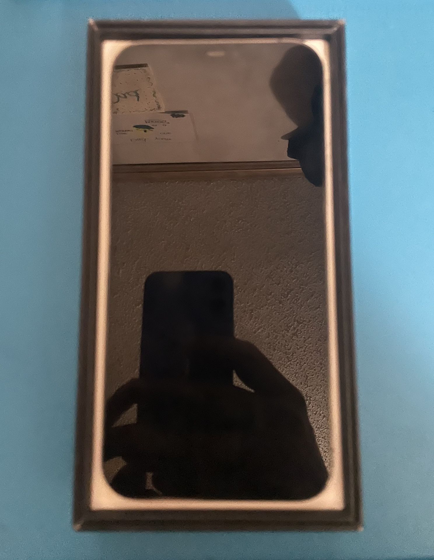 iPhone 12 Pro Max (parts)