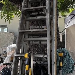 Ladder