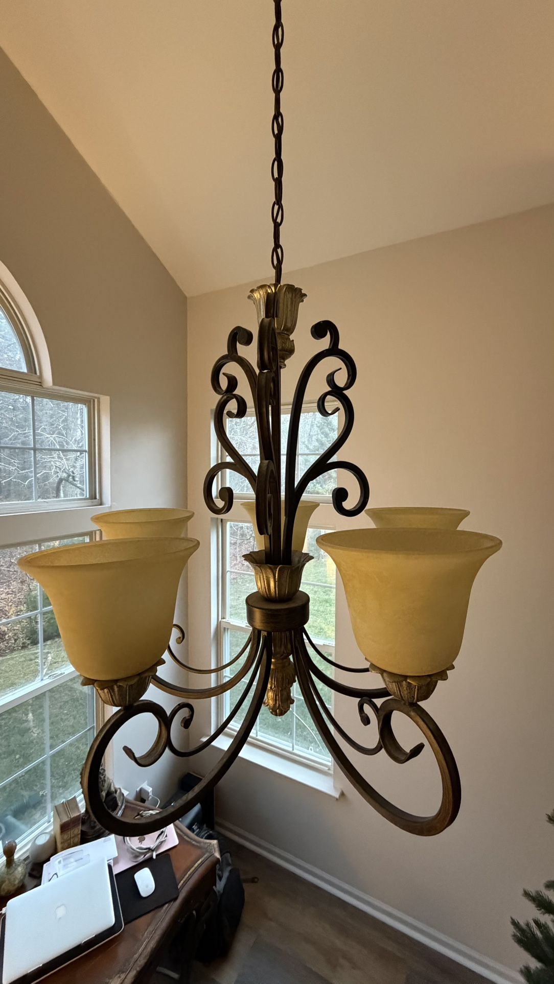 Portfolio Traditional 5 light Chandelier in a bronze and gold finish. 