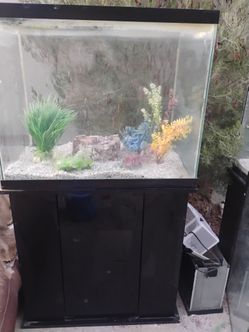 54 Gallon Aquarium with Stand