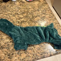 Small Dinosaur Dog Costume