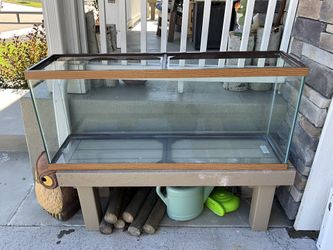 Aquarium, 55 Gallon