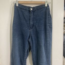 Blue Denim Aphrodite Jeggings Size 3