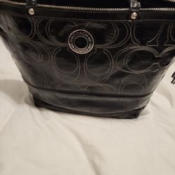 Womens Purse 