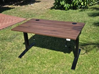 Uplift Standing Desk, Laminate, Walnut, 48" x 38"