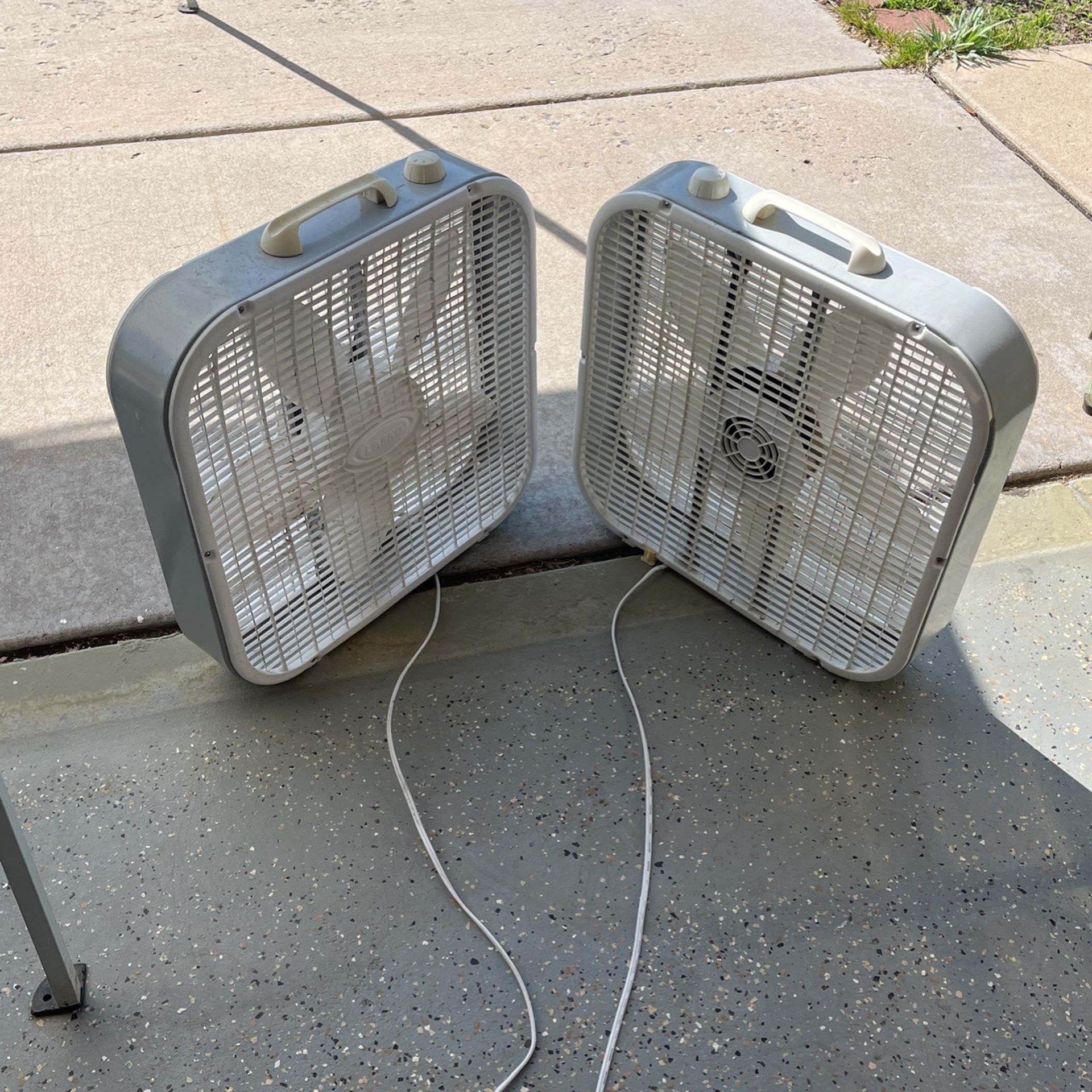 Box Fans