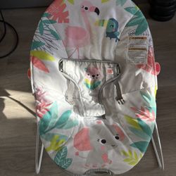 Baby Bouncer 