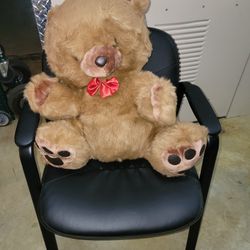 Giant Teddy Bear