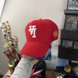 Kill the hype SnapBack