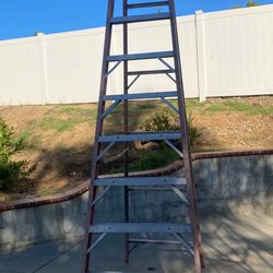 12 Foot Ladder 