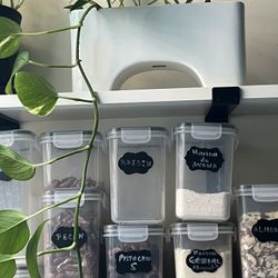 CB2 Plant ( is over 6 feet tall)