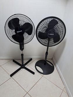 Standing  Fans