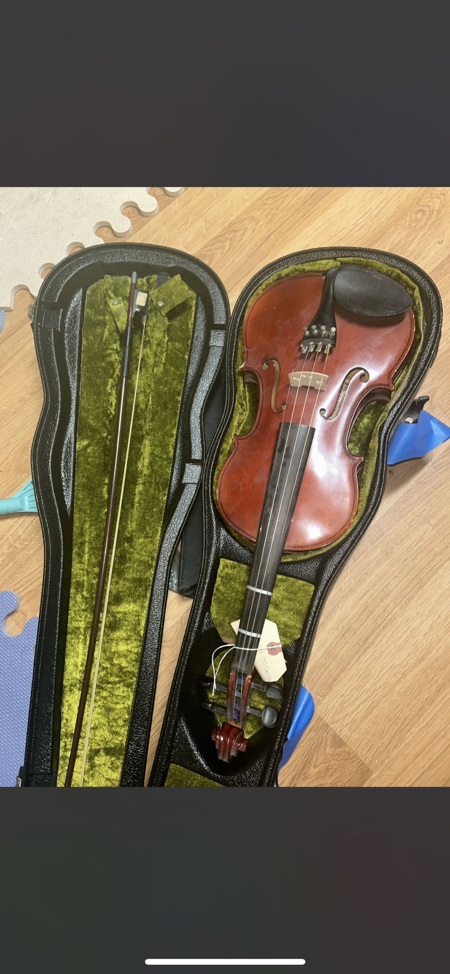 Violin