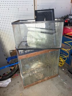 Fish tanks