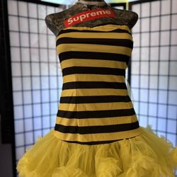 Women’s Bee Costume 