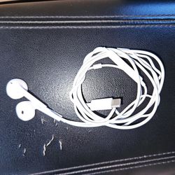 Apple Earbuds Typc C 