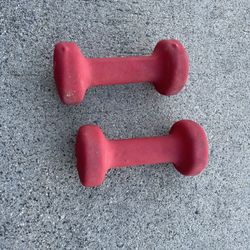 3 Pound Dumbbells 