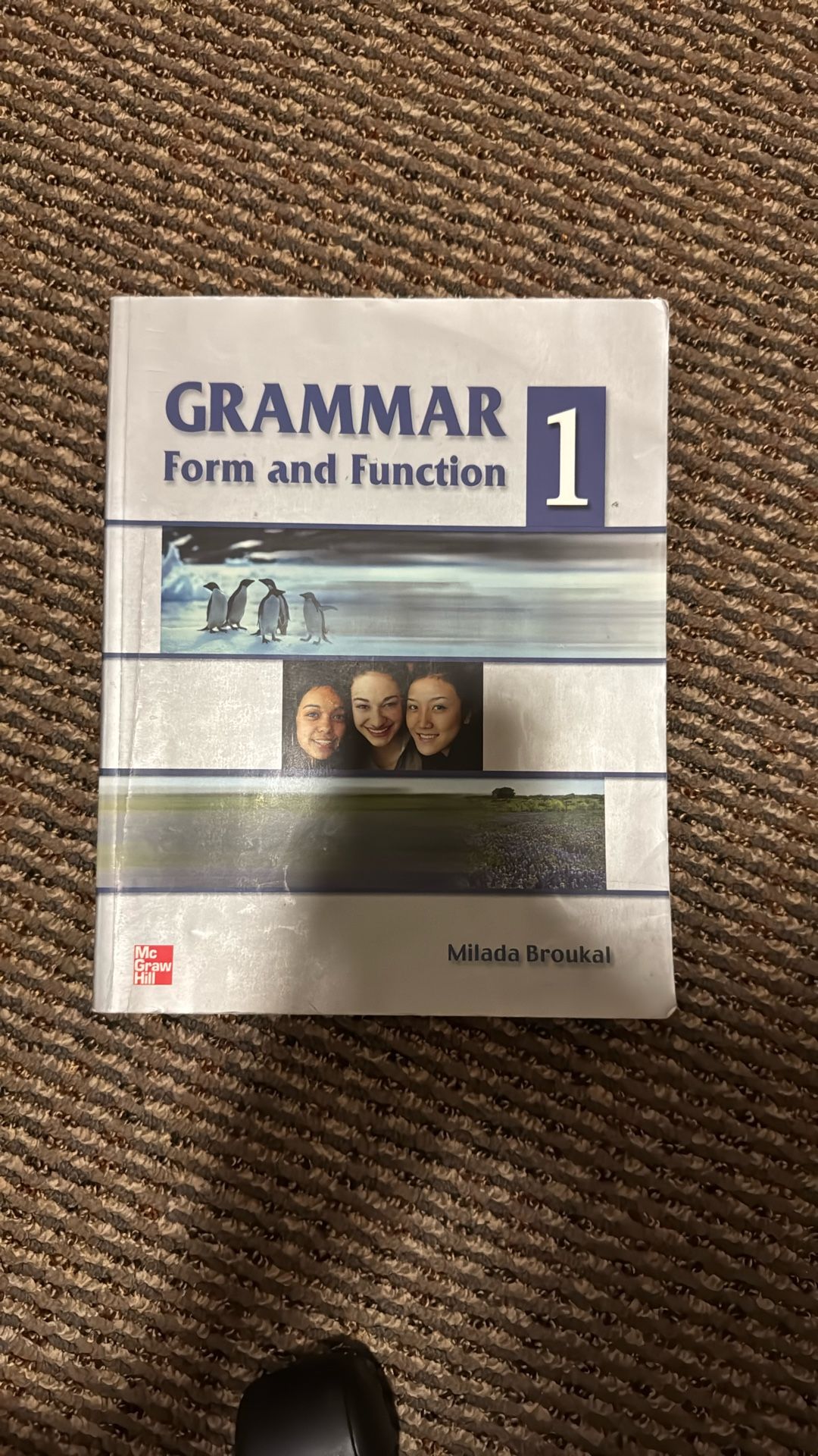 Grammar Form and Function