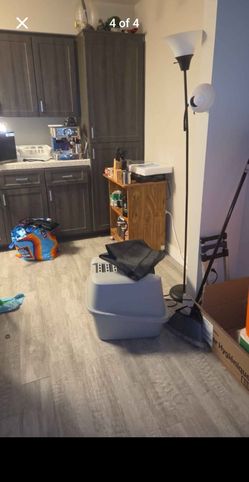 Cat Stuff