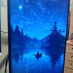 Dell Computer Monitor 