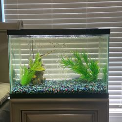 Fish tank With Decor Fish And Air Pumper