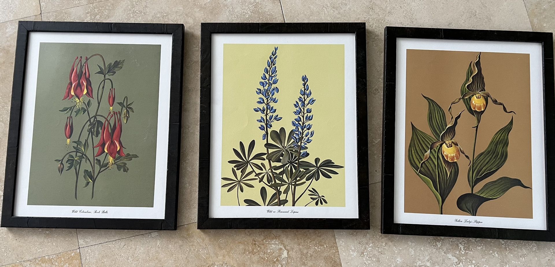 Set of 3 Botanicals