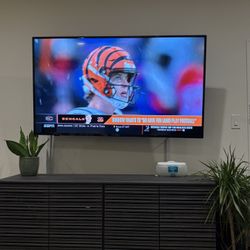 INSIGNIA 65-inch Class F30 Series LED 4K UHD Smart Fire TV with Alexa Voice Remote