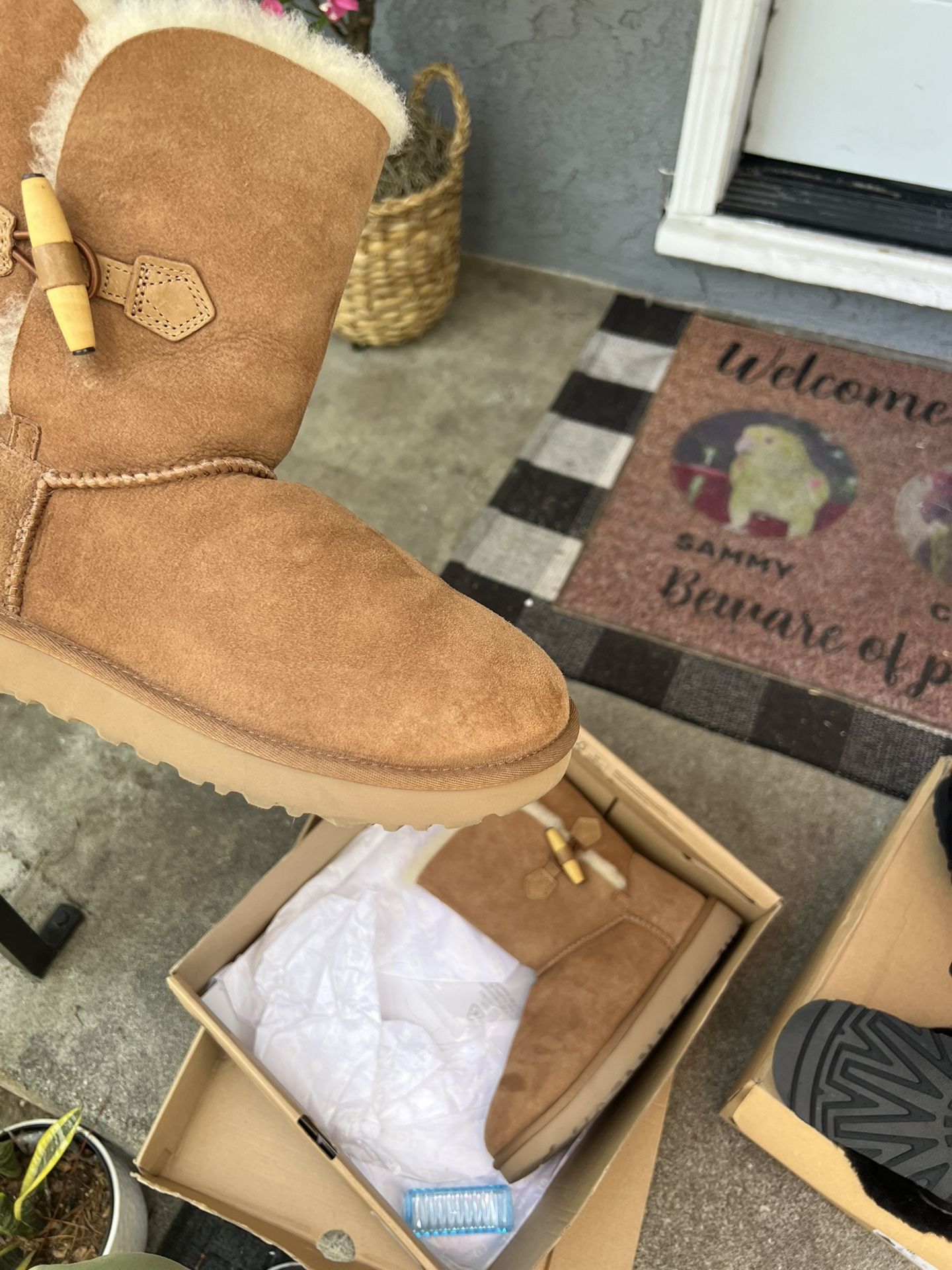 Uggs Boots 