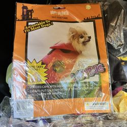 Lady Bug Dog Costumes Halloween 