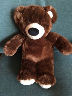 Build A Bear Teddy Bear