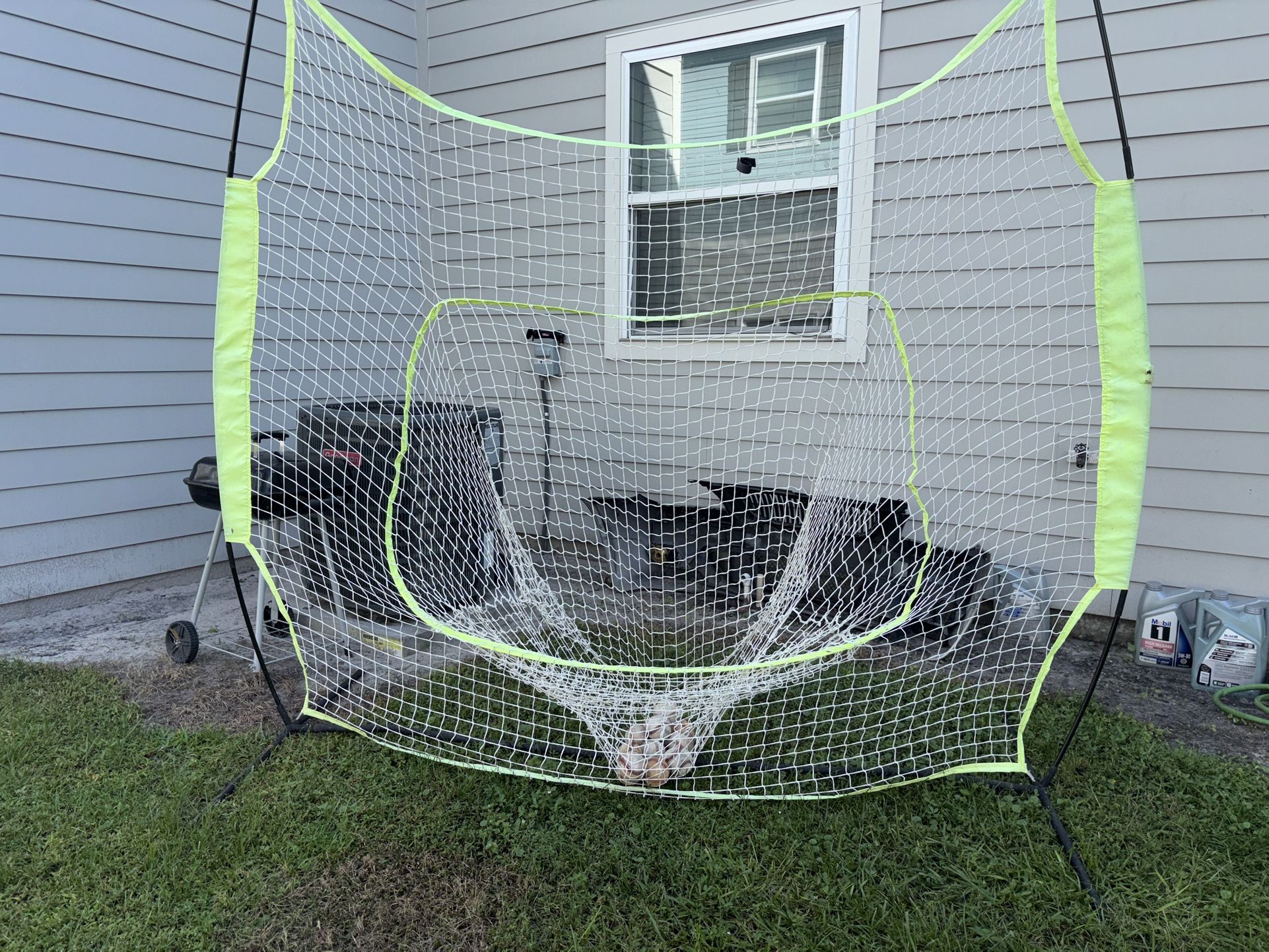 Baseball Net Come With Balls (best Offers)