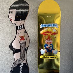 Rare Santa Cruz and Toy Machine Skateboards