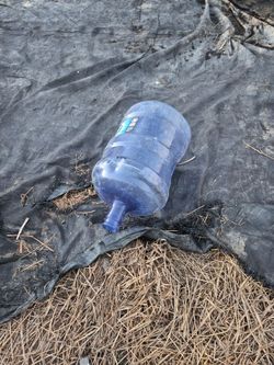 5 gal water juggs