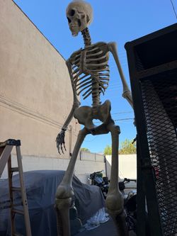 12 foot skeleton