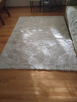 REDUCED! Again!Cream color short shag rug used in Warrenville