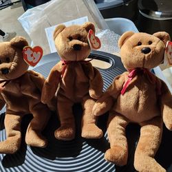 3/2 Nf Brown Teddy