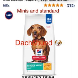 Dachshund Puppies Food 
