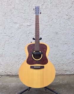 Norman from Seagull/Godin family