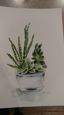 Watercolor, succulent, original 12x18"