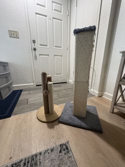 Cat Scratchers