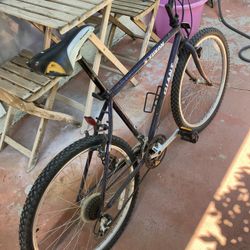 Giant Street Bike Midsize 