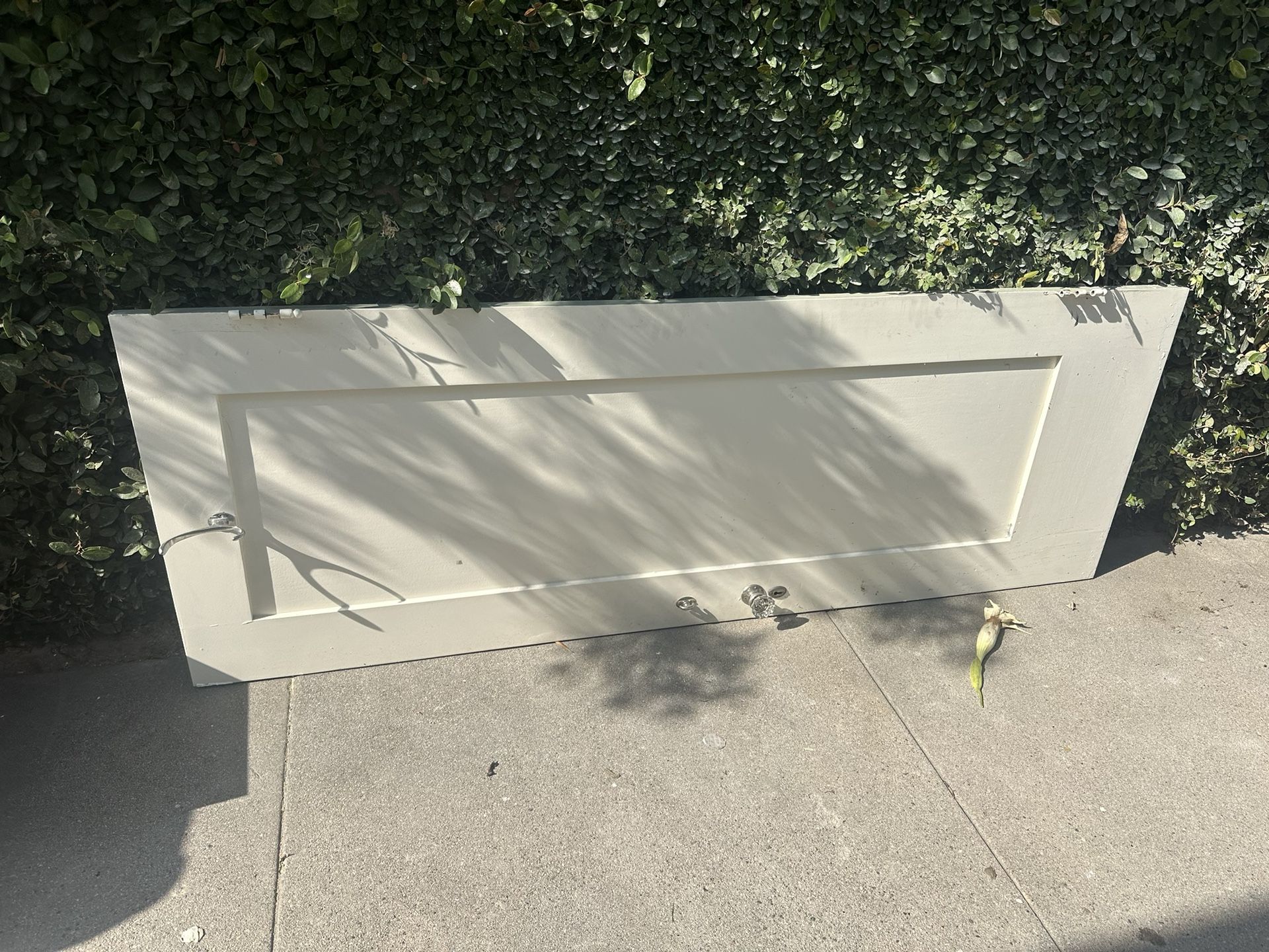 Free Door Approx 29 X 78