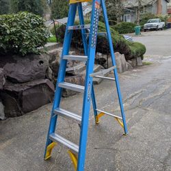 Werner 6 ft. H Fiberglass Step Ladder Type I 250 lb. capacity
