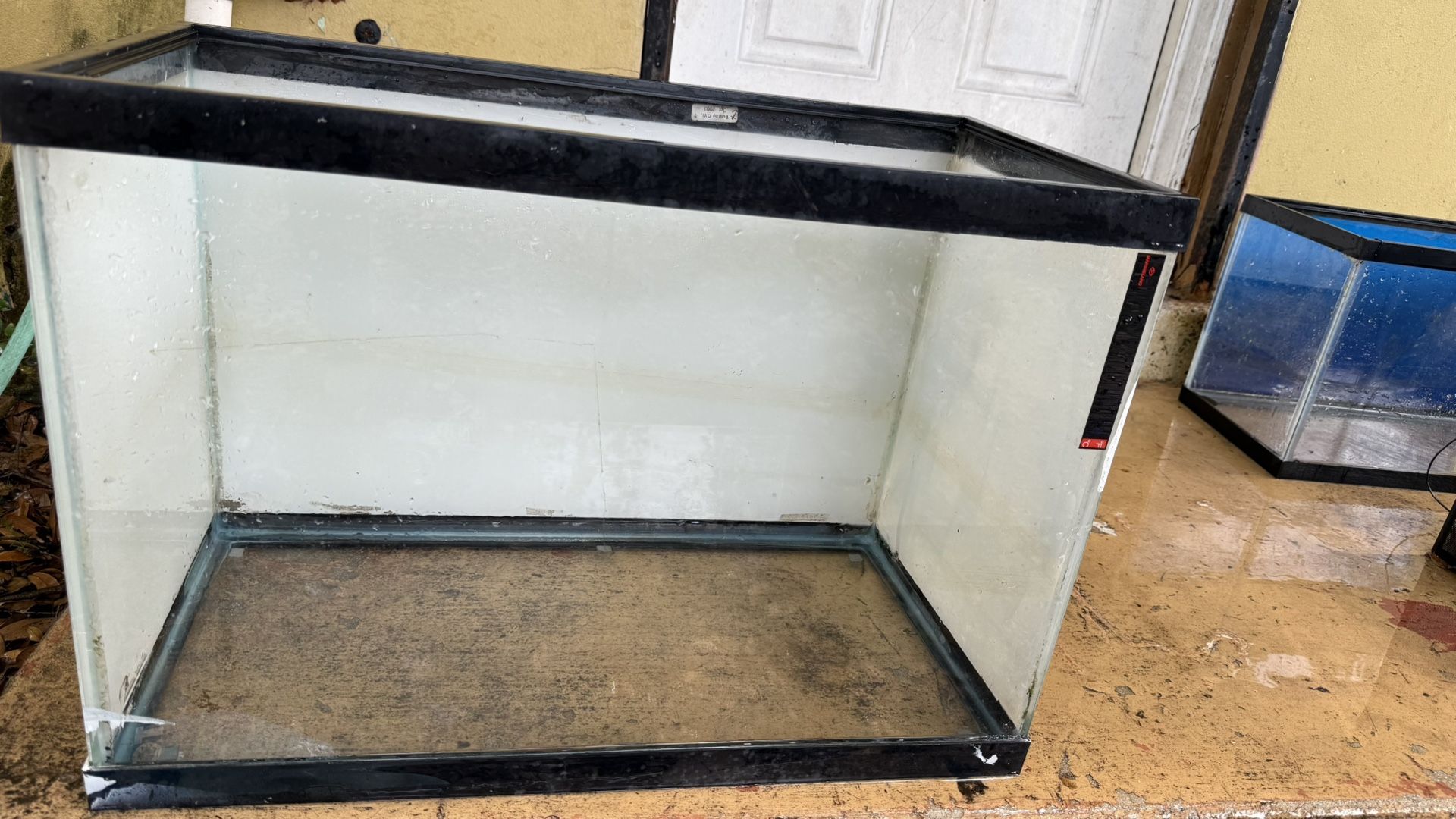 20 Gallon Fish Tank