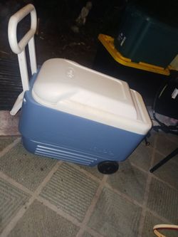 3 IGLOO COOLERS ALL LIKE BRAND NEW 1ST ONE IS 15 2ND ONE IS 10 3RD ONE IS 15 FIRM