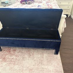 Beautiful Blue ottoman storage unit