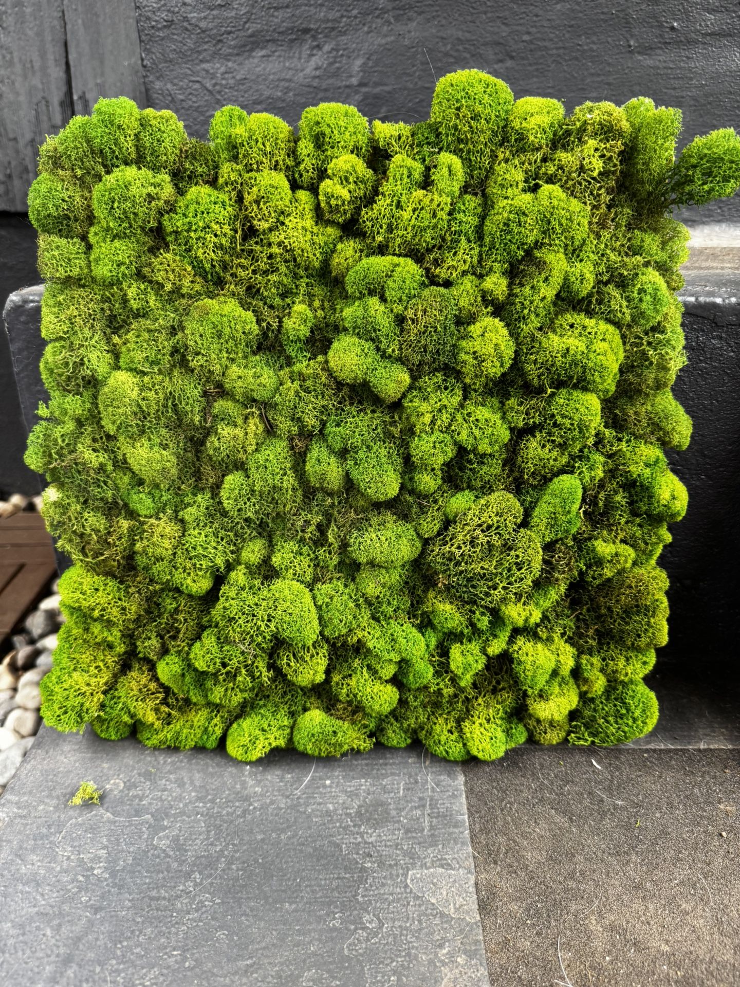Live Moss Art