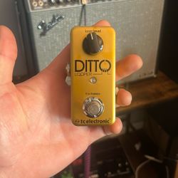 Limited edition Ditto Looper 