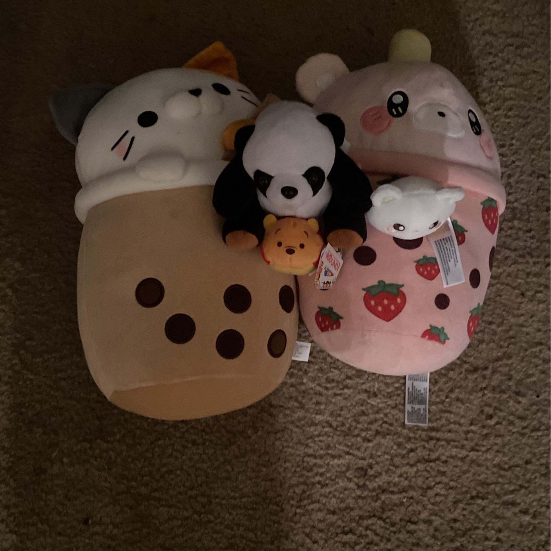 PANDA!!!!!!